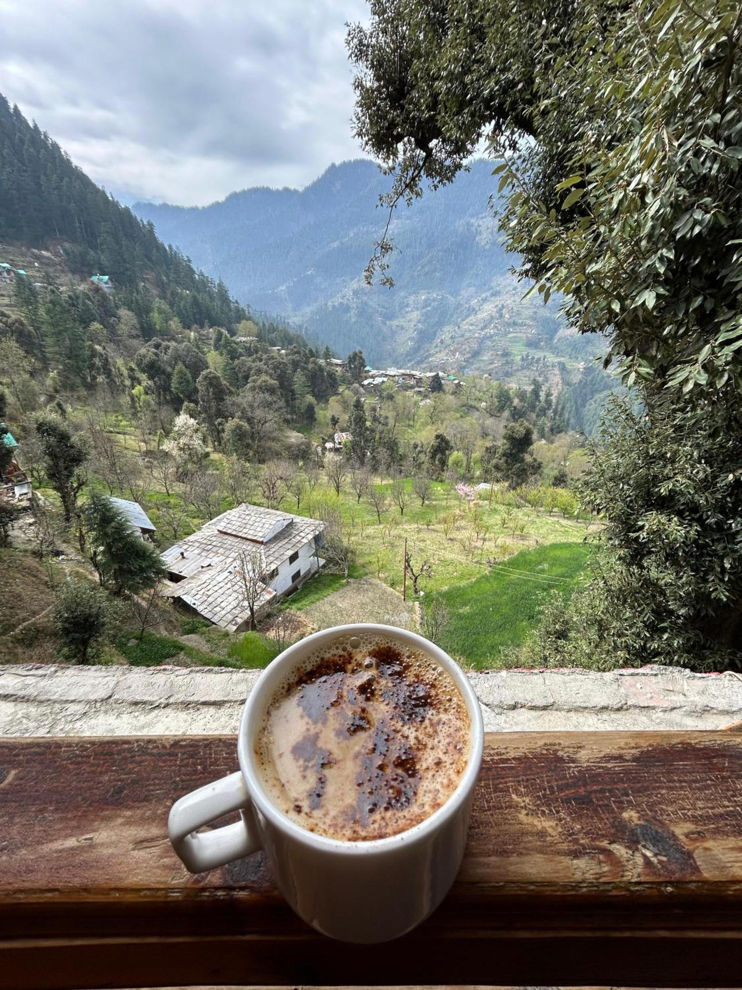 Mozo Inn&Cafe Jibhi Banjār エクステリア 写真